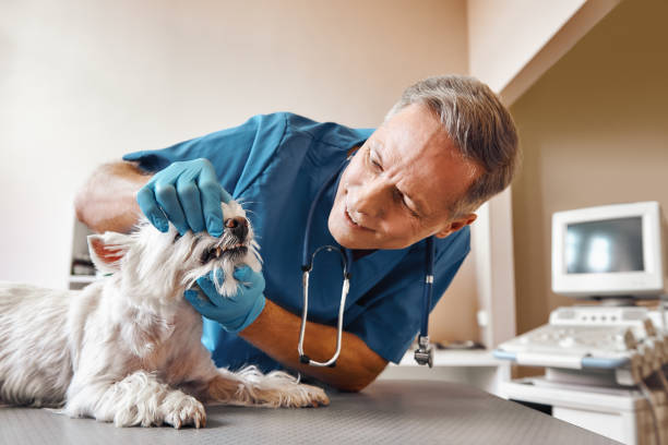 Best Emergency Treatment for Jaw Pain or Injury in Fort Oglethorpe, GA